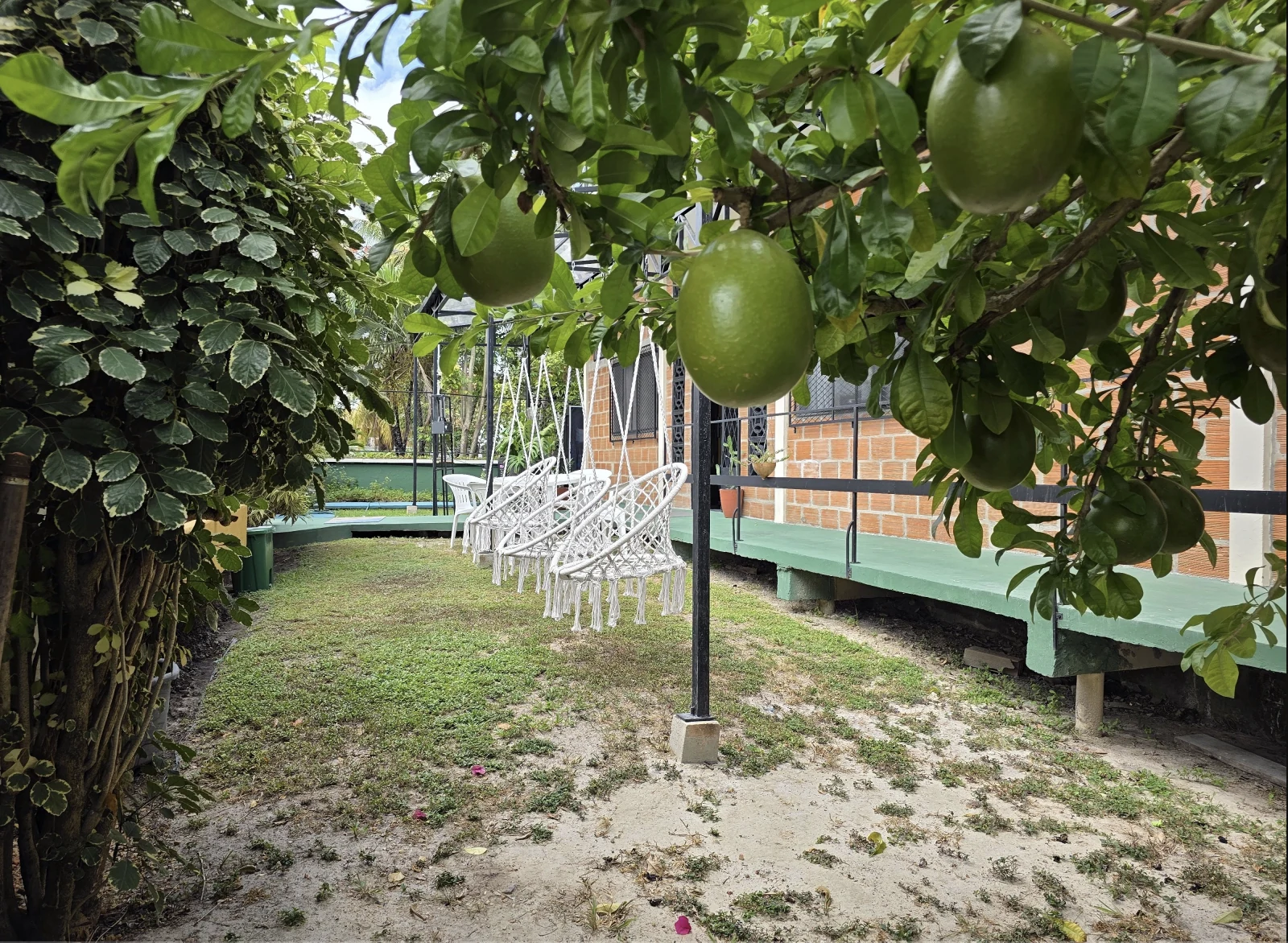 Shared space: Outdoor Area