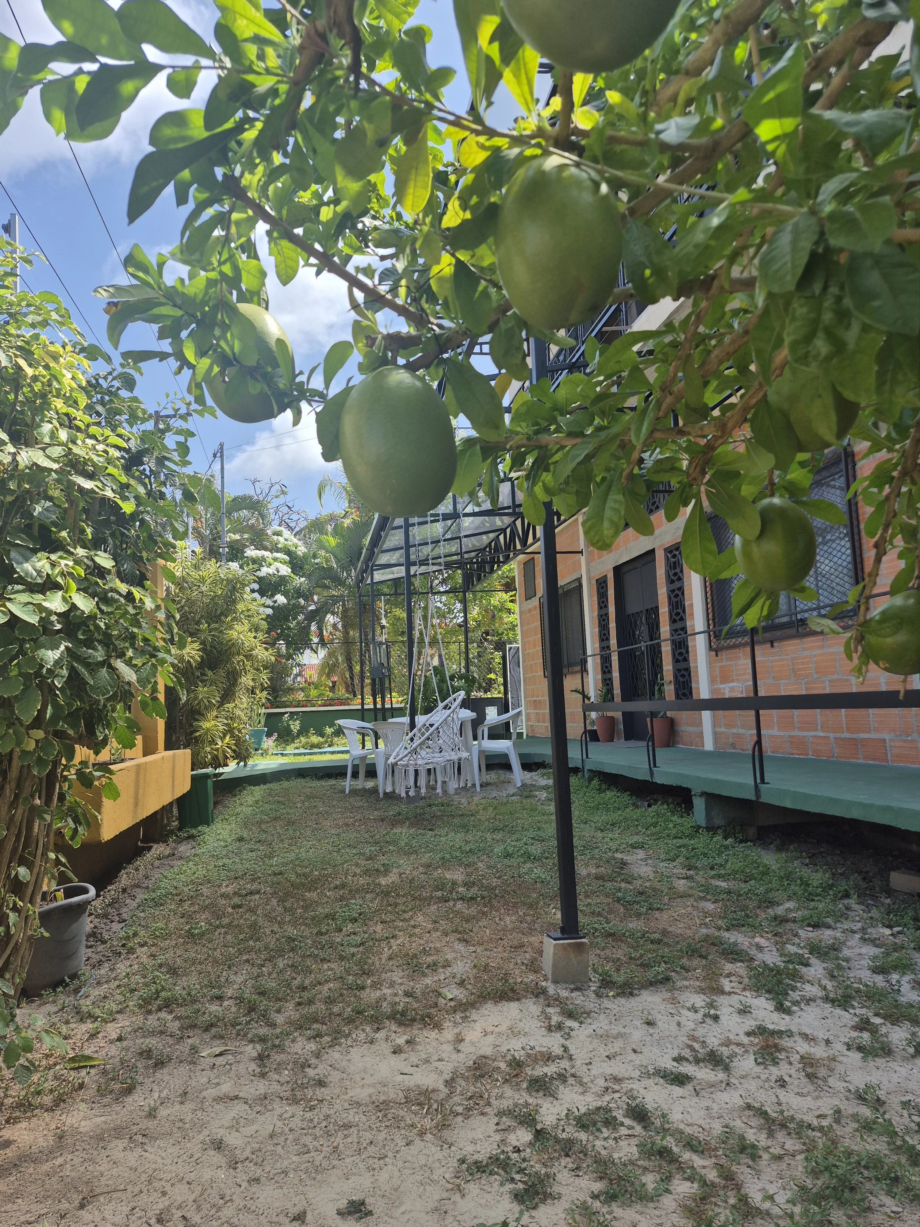 Shared space: Outdoor Area