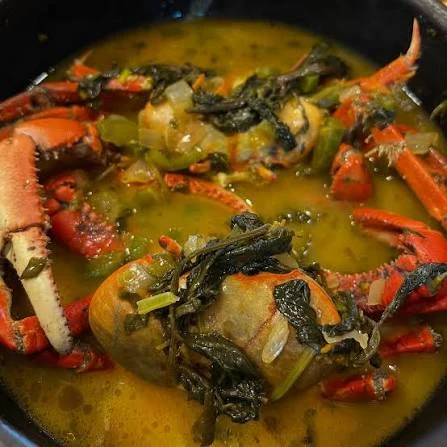 Pará Crab